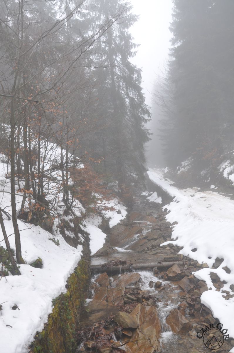 Potok Ciepła - ścieżka dydaktyczno-przyrodnicza na Baranią Górę